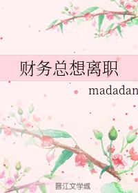 财务总想离职