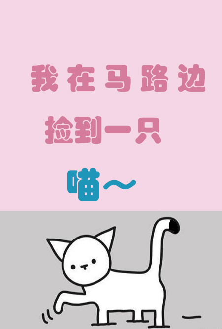 我在马路边，捡到一只猫