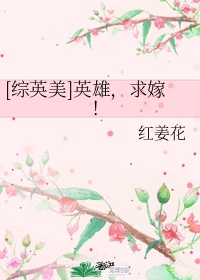 [综英美]英雄，求嫁！